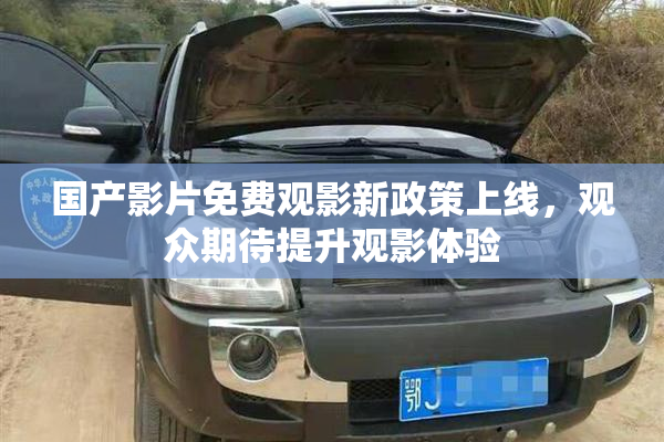 国产影片免费观影新政策上线，观众期待提升观影体验