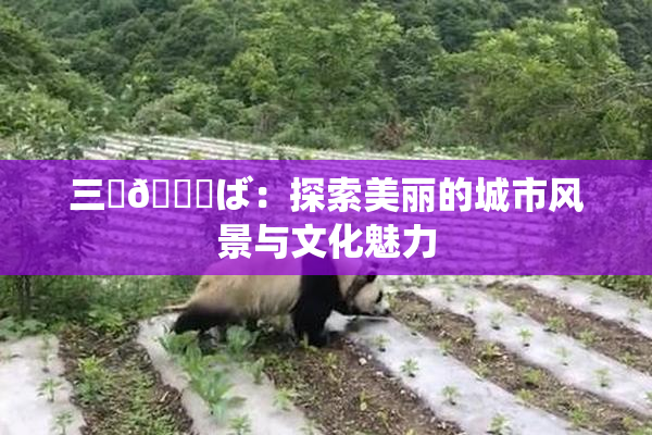 三宮😚ば：探索美丽的城市风景与文化魅力