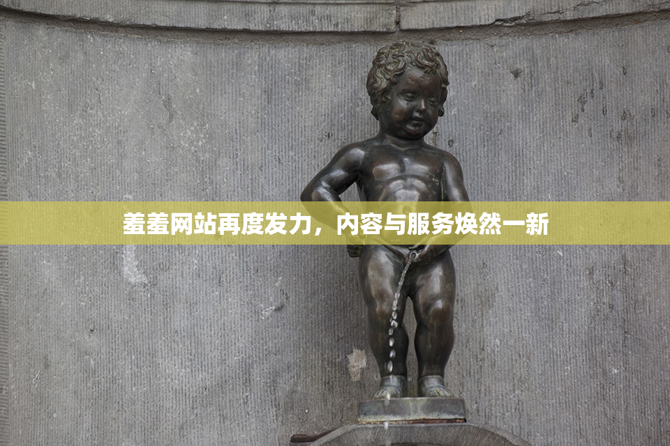 羞羞网站再度发力，内容与服务焕然一新