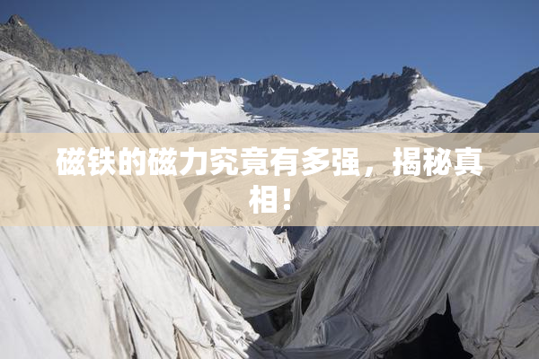 磁铁的磁力究竟有多强，揭秘真相！