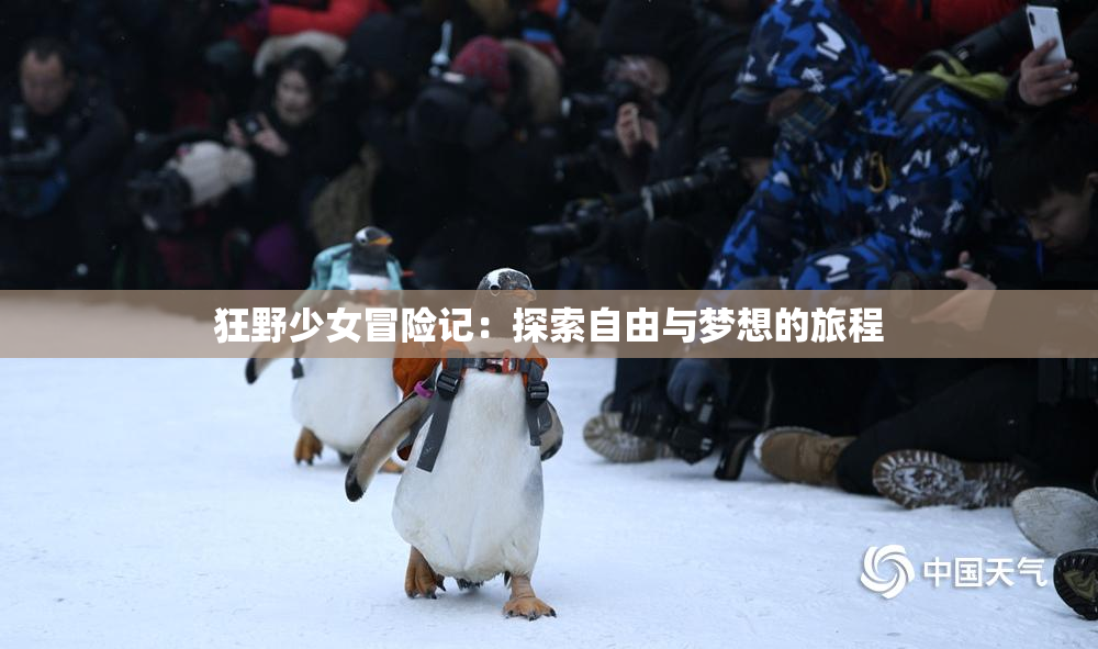 狂野少女冒险记：探索自由与梦想的旅程