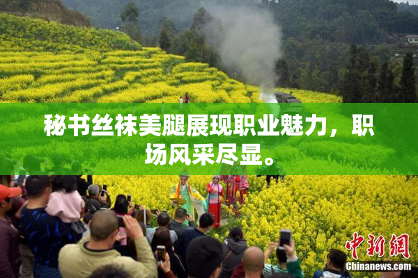 秘书丝袜美腿展现职业魅力，职场风采尽显。