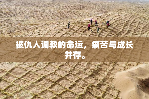 被仇人调教的命运，痛苦与成长并存。