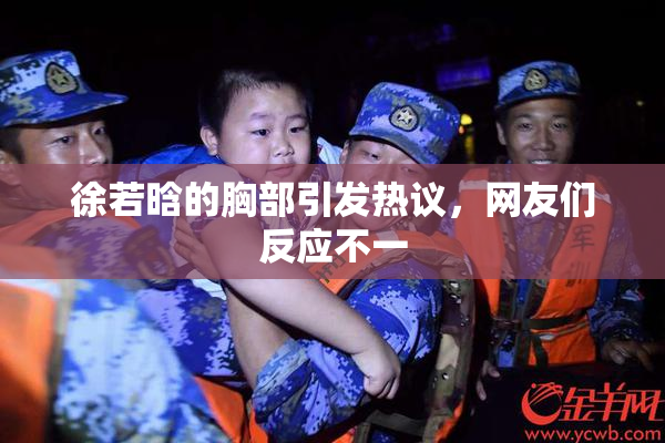 徐若晗的胸部引发热议，网友们反应不一