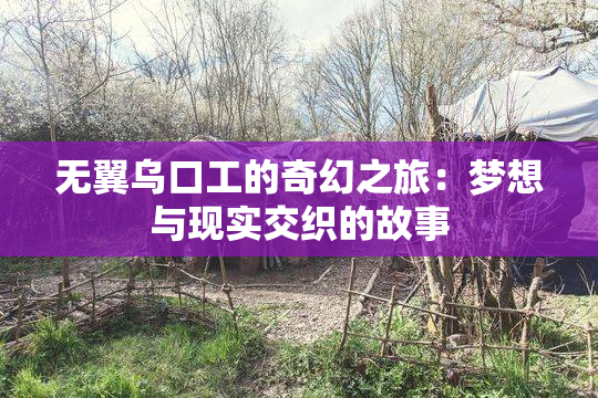 无翼乌口工的奇幻之旅：梦想与现实交织的故事
