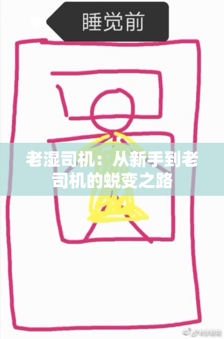 老湿司机：从新手到老司机的蜕变之路