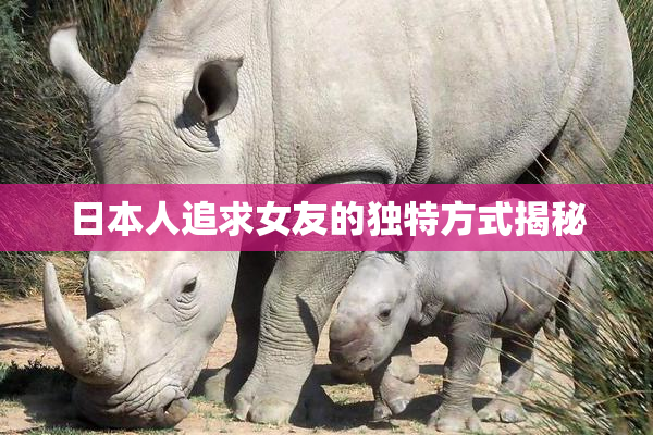 日本人追求女友的独特方式揭秘