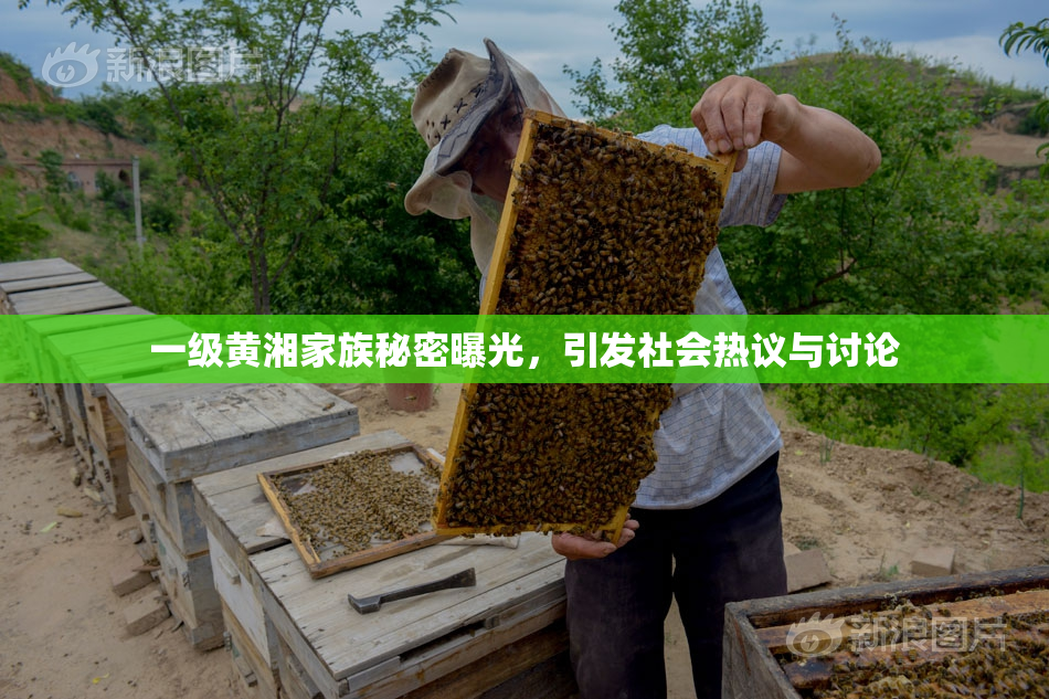 一级黄湘家族秘密曝光，引发社会热议与讨论