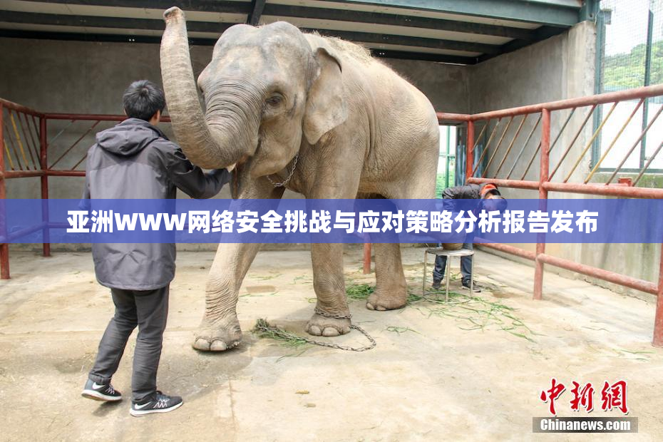 亚洲WWW网络安全挑战与应对策略分析报告发布