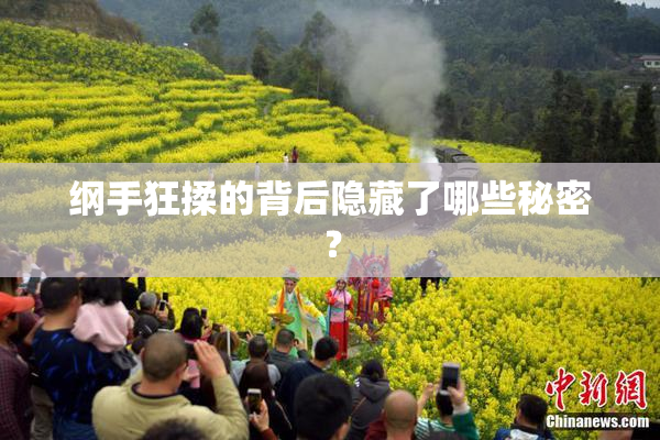 纲手狂揉的背后隐藏了哪些秘密？