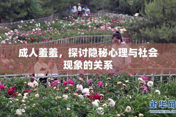成人羞羞，探讨隐秘心理与社会现象的关系