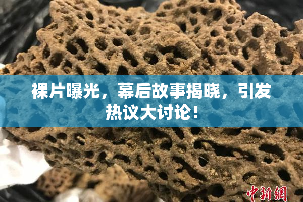 裸片曝光，幕后故事揭晓，引发热议大讨论！