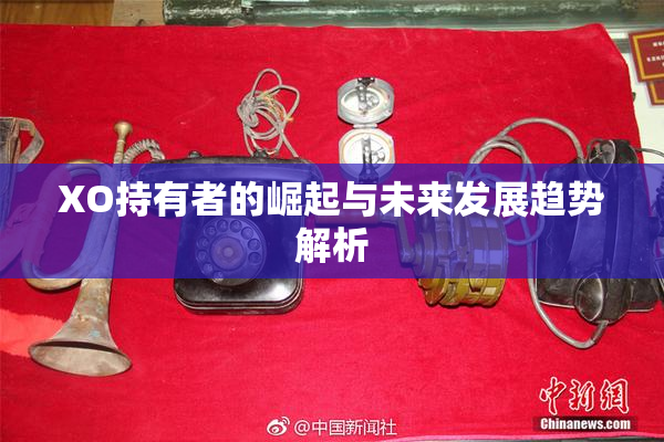XO持有者的崛起与未来发展趋势解析