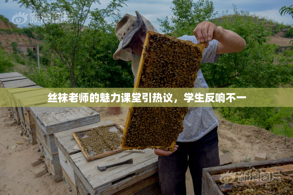 丝袜老师的魅力课堂引热议，学生反响不一