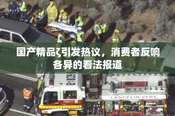 国产精品ζ引发热议，消费者反响各异的看法报道