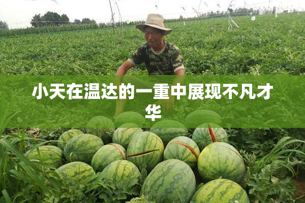小天在温达的一重中展现不凡才华