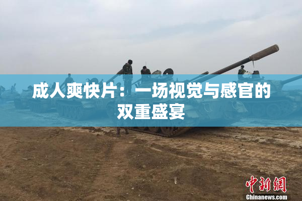 成人爽快片：一场视觉与感官的双重盛宴
