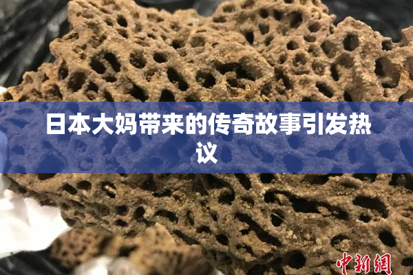 日本大妈带来的传奇故事引发热议