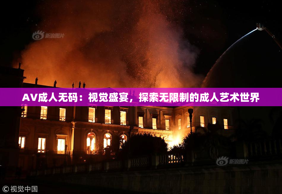 AV成人无码：视觉盛宴，探索无限制的成人艺术世界