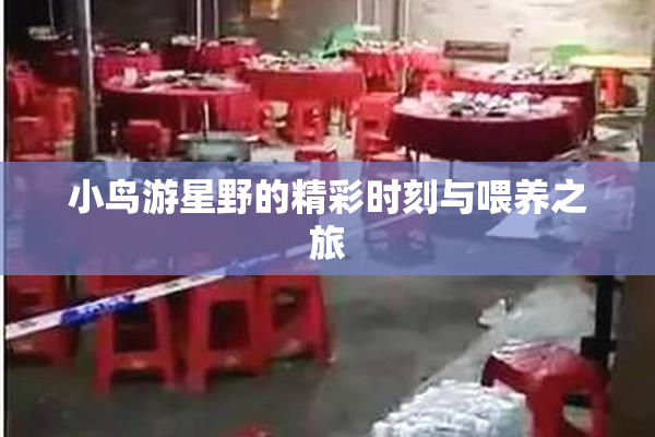 小鸟游星野的精彩时刻与喂养之旅