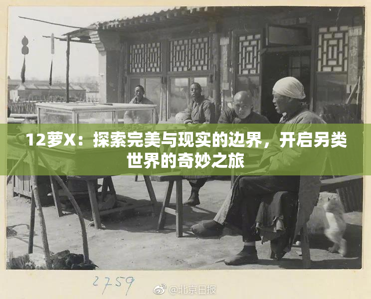 12萝X：探索完美与现实的边界，开启另类世界的奇妙之旅