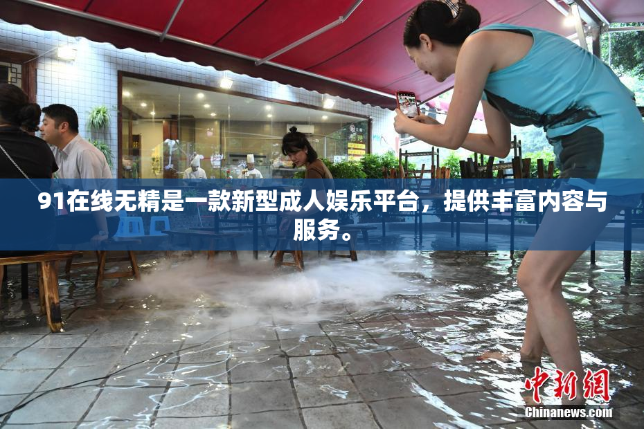 91在线无精是一款新型成人娱乐平台，提供丰富内容与服务。
