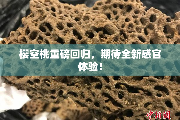 樱空桃重磅回归，期待全新感官体验！