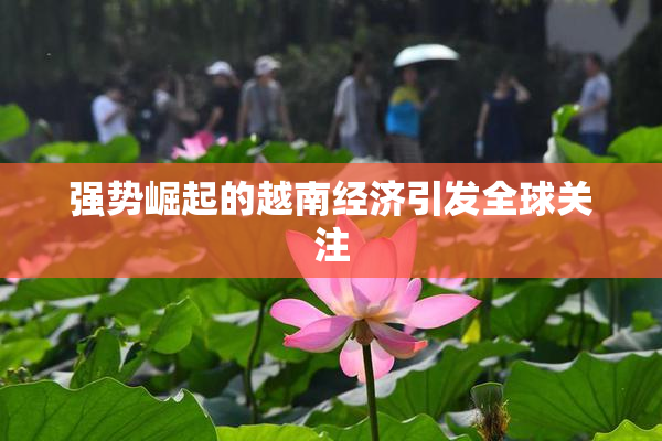 强势崛起的越南经济引发全球关注