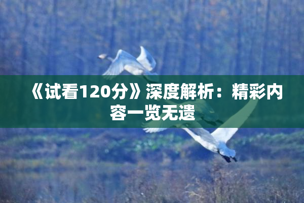 《试看120分》深度解析：精彩内容一览无遗