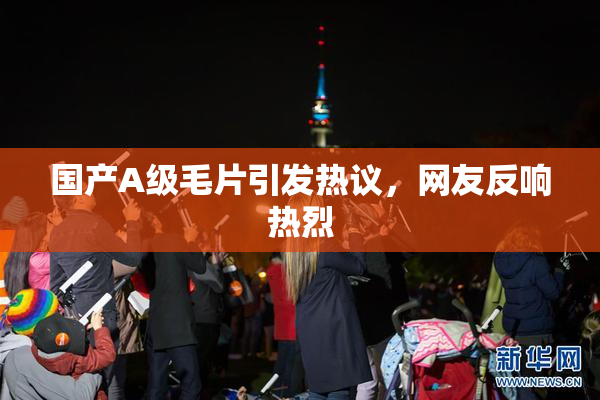国产A级毛片引发热议，网友反响热烈