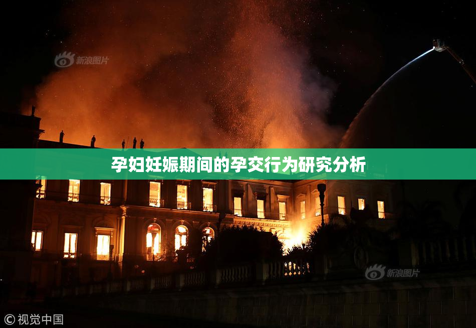 孕妇妊娠期间的孕交行为研究分析