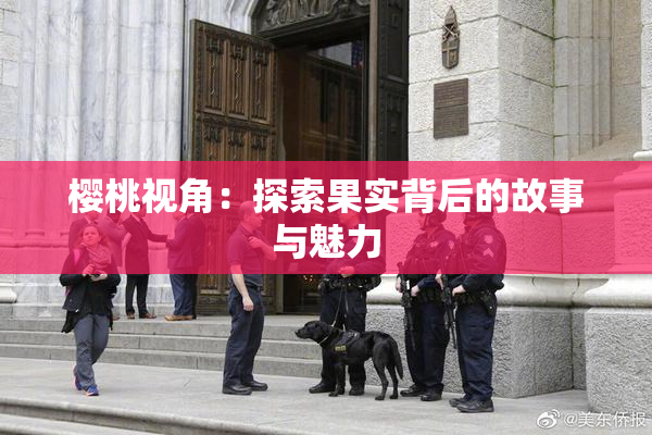 樱桃视角：探索果实背后的故事与魅力