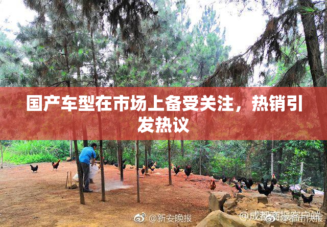 国产车型在市场上备受关注，热销引发热议