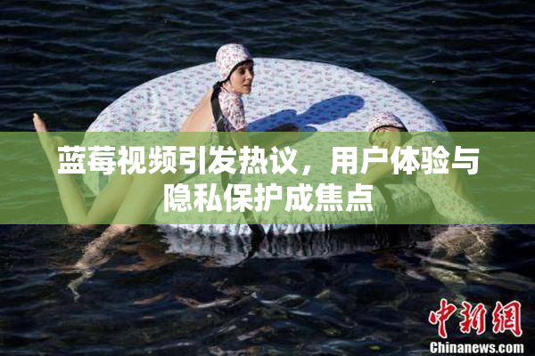 蓝莓视频引发热议，用户体验与隐私保护成焦点