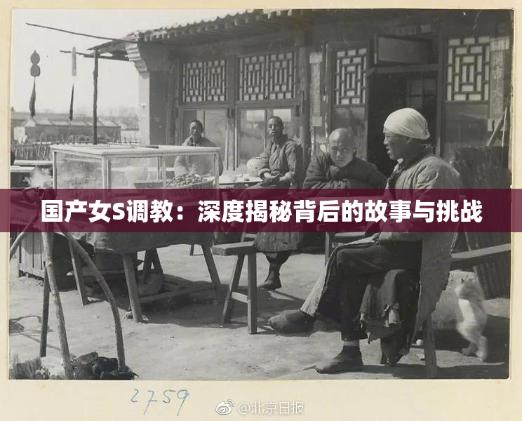 国产女S调教：深度揭秘背后的故事与挑战