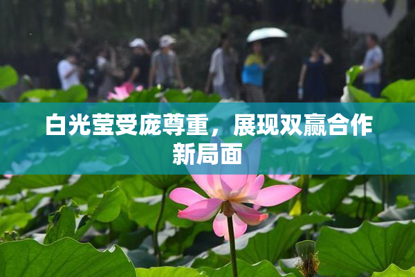 白光莹受庞尊重，展现双赢合作新局面
