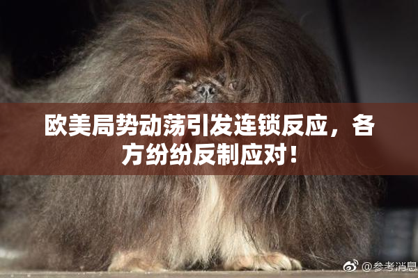 欧美局势动荡引发连锁反应，各方纷纷反制应对！