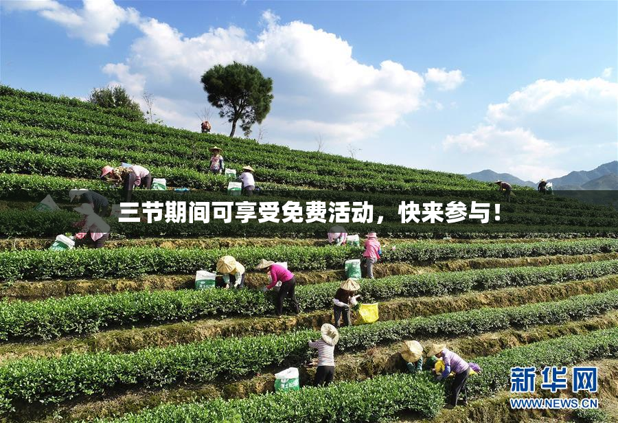 三节期间可享受免费活动，快来参与！