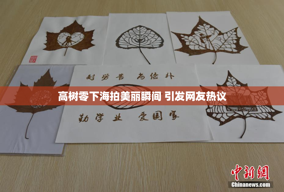 高树零下海拍美丽瞬间 引发网友热议