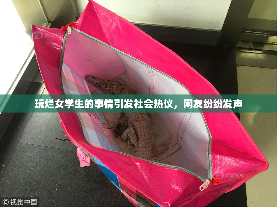 玩烂女学生的事情引发社会热议，网友纷纷发声