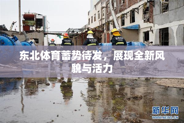 东北体育蓄势待发，展现全新风貌与活力