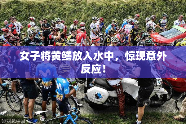 女子将黄鳝放入水中，惊现意外反应！