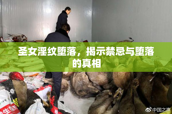 圣女淫纹堕落，揭示禁忌与堕落的真相