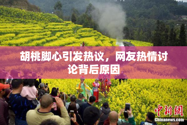 胡桃脚心引发热议，网友热情讨论背后原因