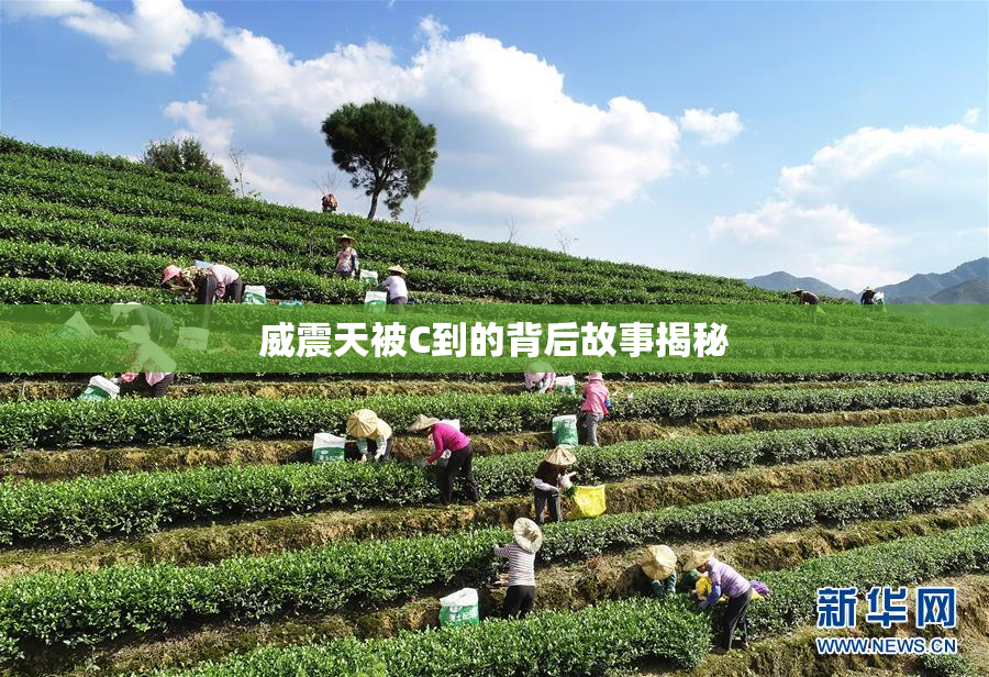 威震天被C到的背后故事揭秘