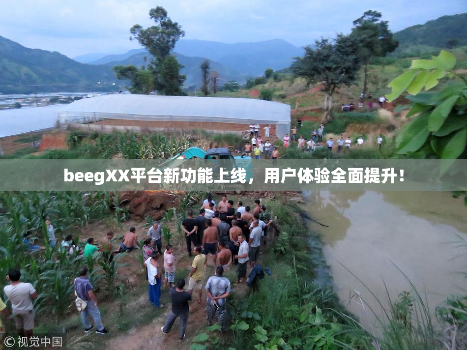 beegXX平台新功能上线，用户体验全面提升！