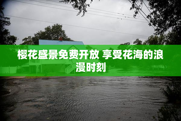 樱花盛景免费开放 享受花海的浪漫时刻