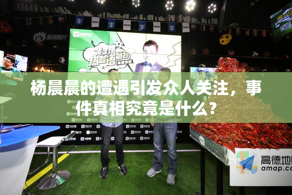杨晨晨的遭遇引发众人关注，事件真相究竟是什么？