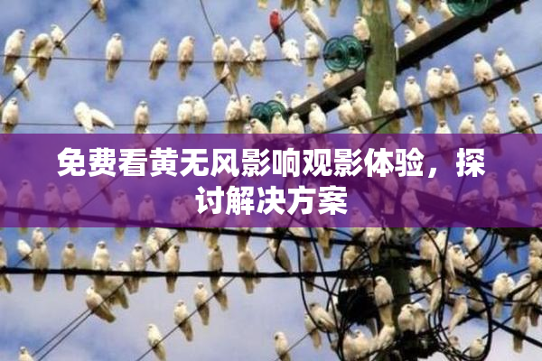 免费看黄无风影响观影体验，探讨解决方案