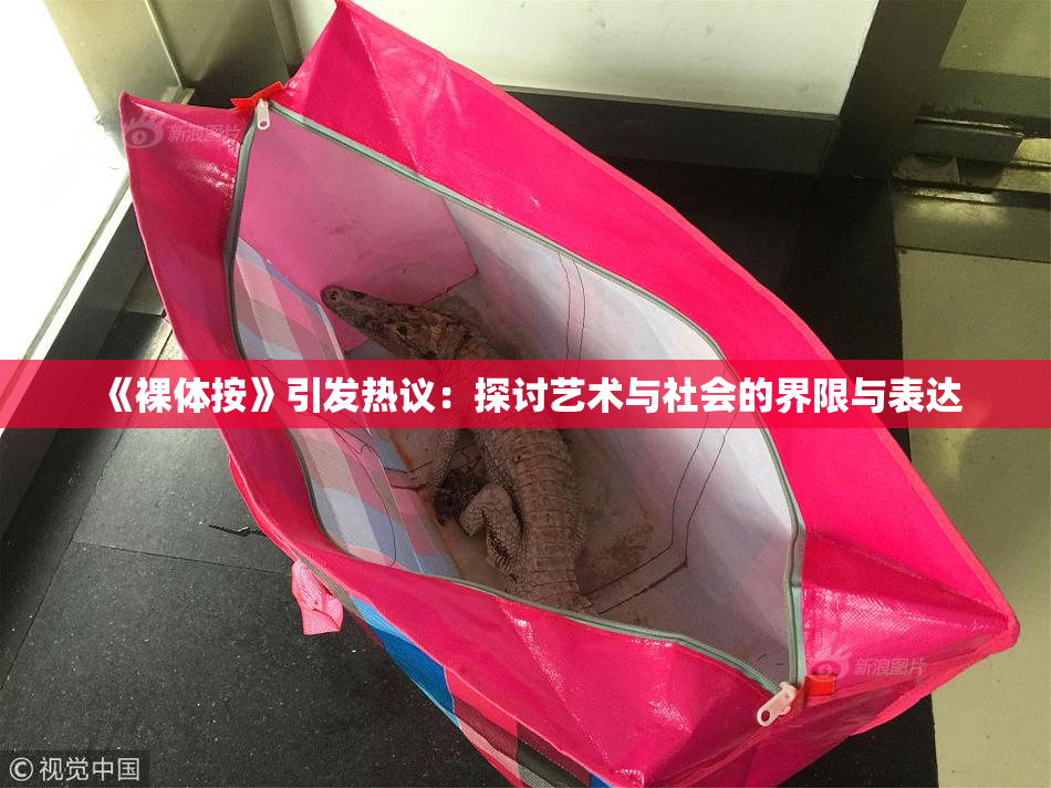 《裸体按》引发热议：探讨艺术与社会的界限与表达